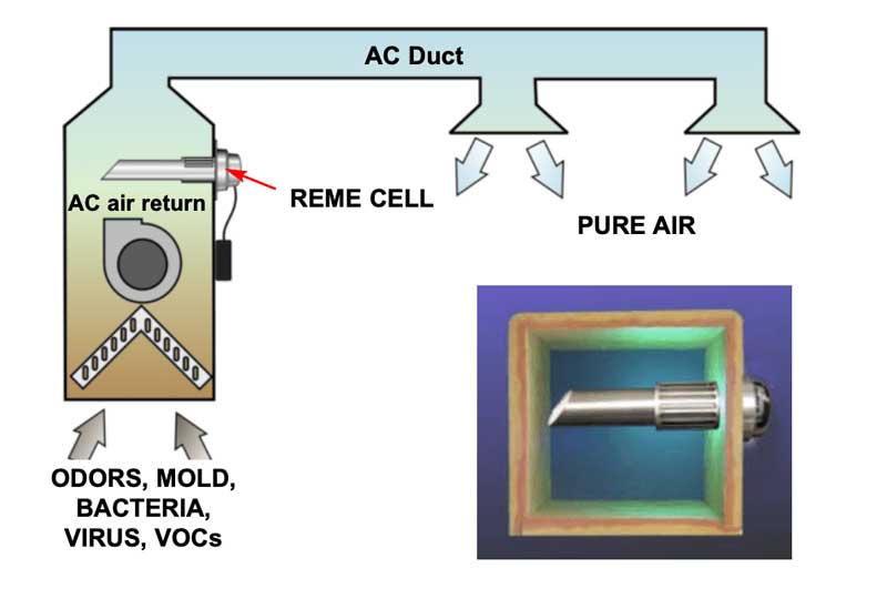 Screen Shot 2020 11 23 At 1 24 36 Pm Screen Shot 2020 11 23 At 1 24 36 Pm